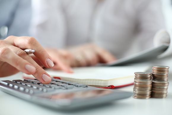 Financial Literacy 101: Budgeting FIN101_en