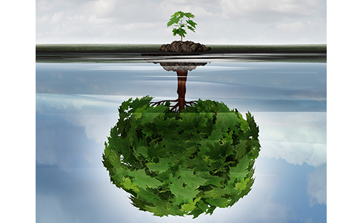 Personal Development 101: Growth Mindset PDV101_en